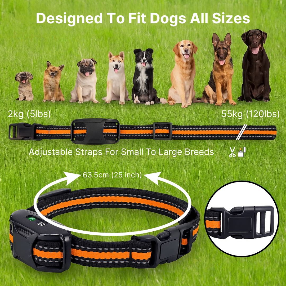 Remote Control Dog Training E-Collar