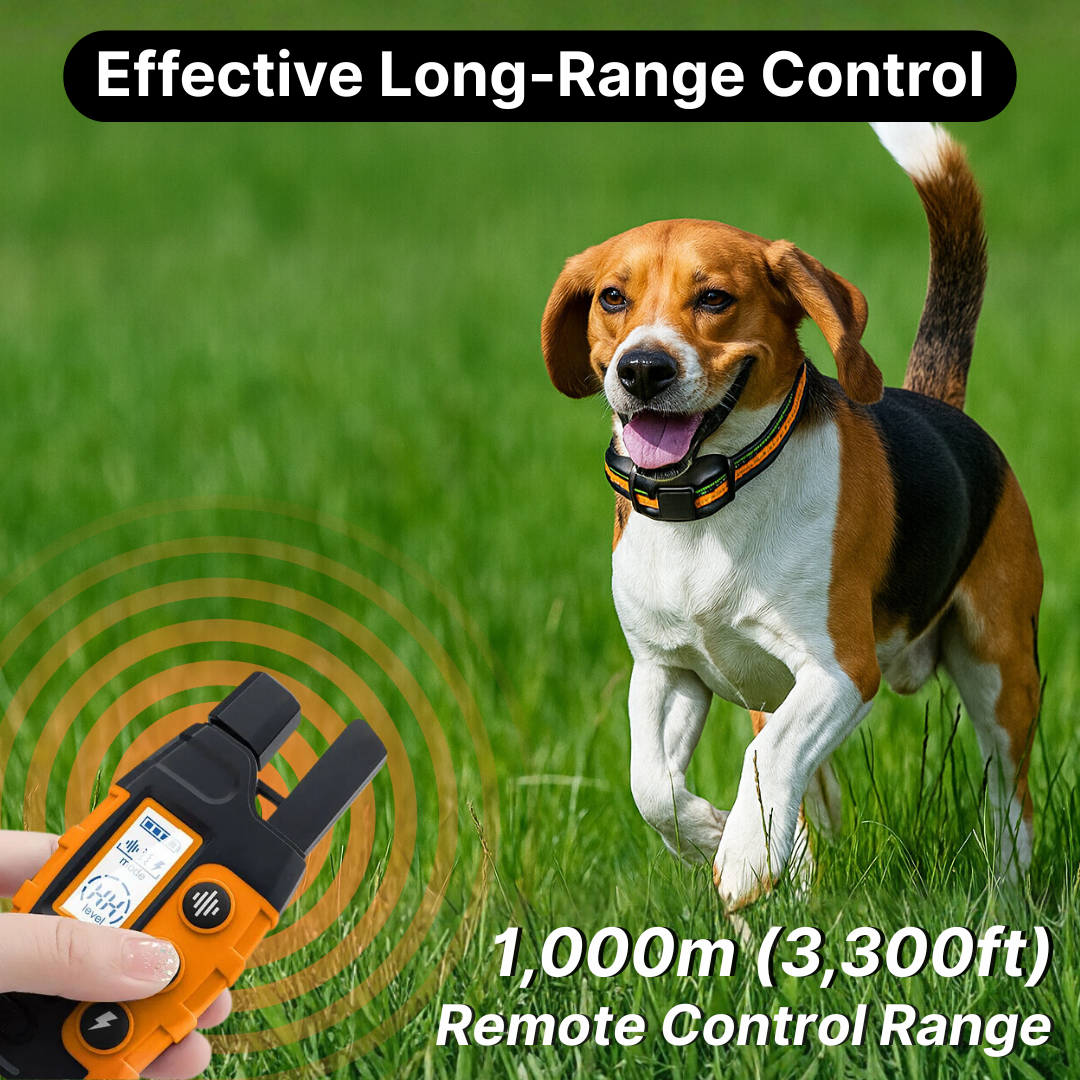 Remote Control Dog Training E-Collar