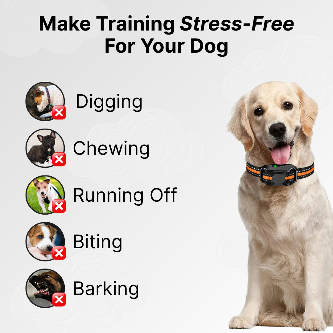 Remote Control Dog Training E-Collar