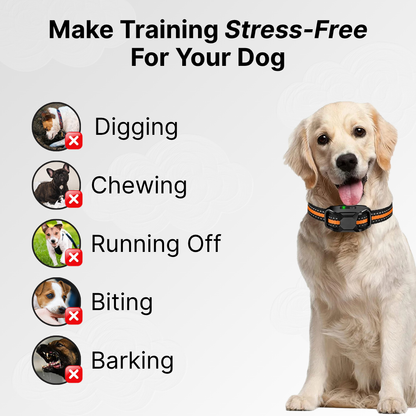 Remote Control Dog Training E-Collar