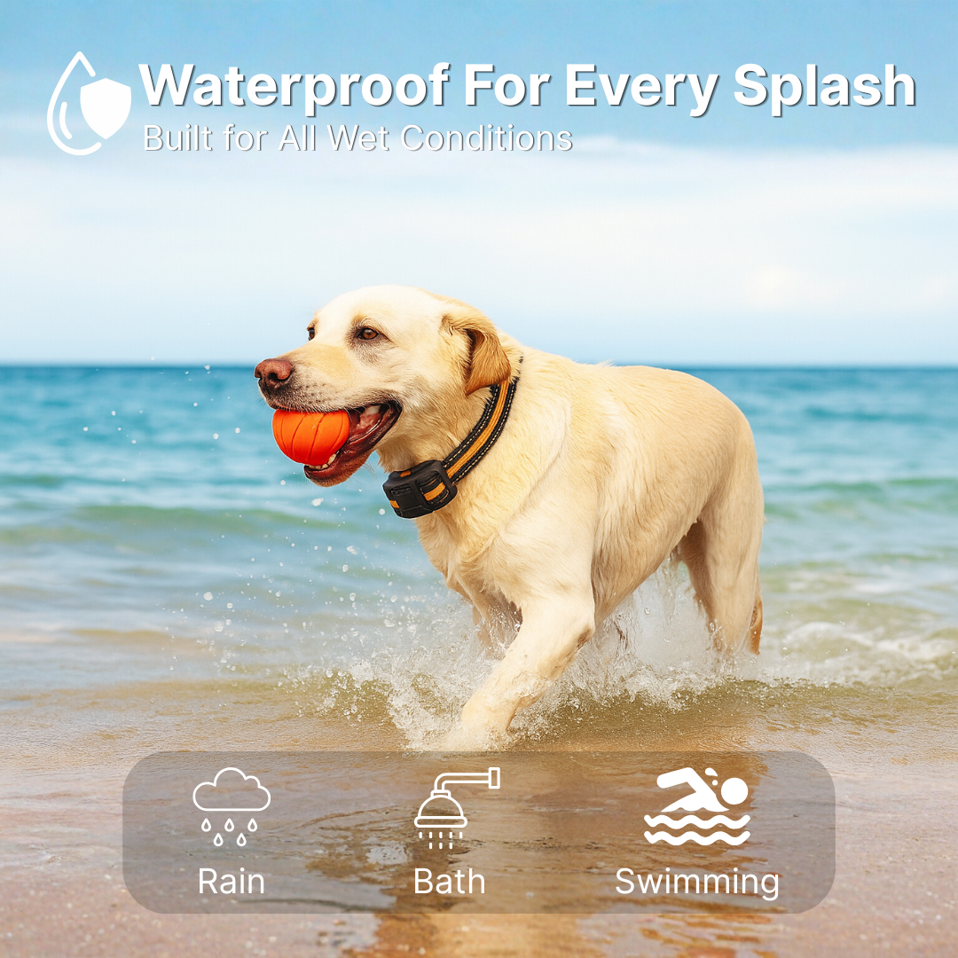 Remote Control Dog Training E-Collar